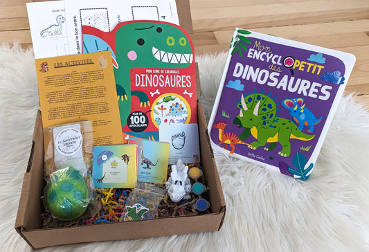 Boîte Dinosaures - Achat unique